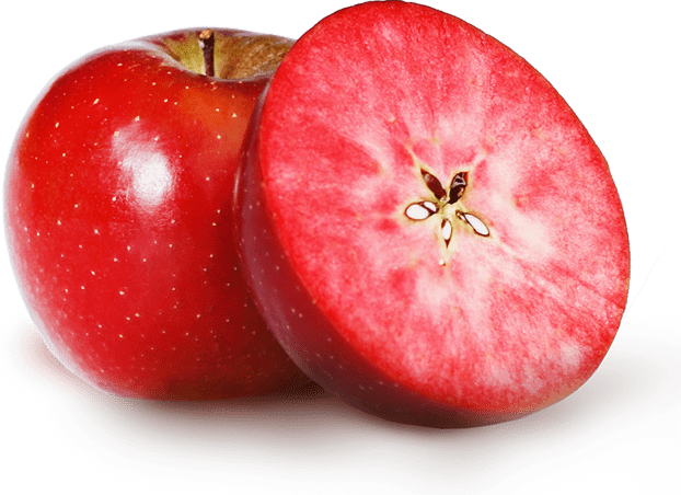 نهال سیب توقرمز