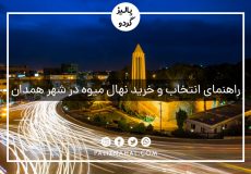 خرید و فروش عمده نهال میوه شناسنامه دار جهادکشاورزی در شهر همدان
