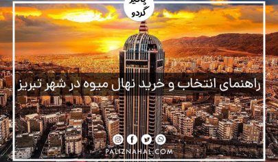 خرید و فروش عمده نهال میوه شناسنامه دار جهادکشاورزی در تبریز