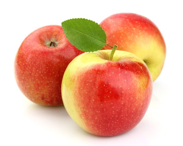 نهال سیب دو رنگ فرانسه [خرید با قیمت مناسب]